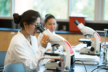 Photo of students walking on campus. Link to Gifts of Life Insurance.